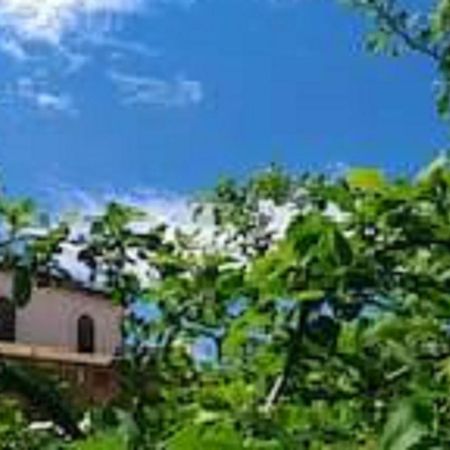 אלקאמו Il Gelsomino Home Holiday מראה חיצוני תמונה